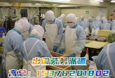 揭秘高薪出國勞務 建筑工、廚師、司機、普工年薪40萬起如何實現